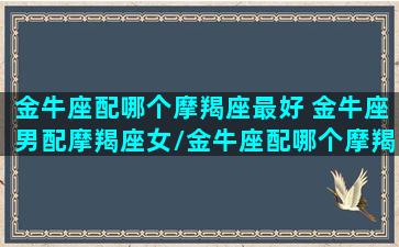 金牛座配哪个摩羯座最好 金牛座男配摩羯座女/金牛座配哪个摩羯座最好 金牛座男配摩羯座女-我的网站